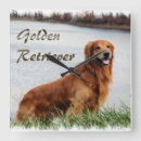 Recherche de golden retriever horloges Mignonette