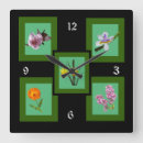 Recherche de fleurs lilas horloges Vert