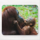 Recherche de orang outan tapis souris Singe