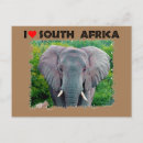 Recherche de taureau le cartes postales Animal