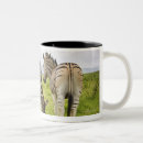 Recherche de sud africain tasses Faune
