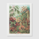 Recherche de magnétique cartes postales Fleurs