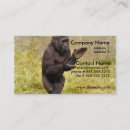 Recherche de chimpanzé cartes visite Singe