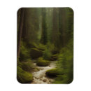 Recherche de beau magnets Arbres