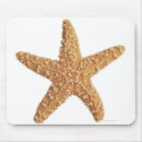 Recherche de animal marin tapis souris Animaux