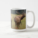 Recherche de élans tasses Faune
