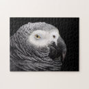 Recherche de de perroquet puzzles Pour tous