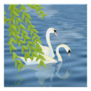 Recherche de lac cygne posters Pour tous