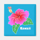 Recherche de fleurs de ketmie magnets Hawaï