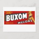 Recherche de melon cartes postales Vintage