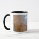 Recherche de espèce marine tasses Animal