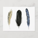 Recherche de plumes cartes postales Nature