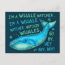 Recherche de observation de baleine Observation des baleines