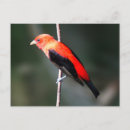 Recherche de flair cartes postales Pour tous
