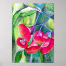Recherche de australiennes art Aquarelle