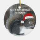 Recherche de écureuil de ornements D'écureuil