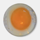 Recherche de oeuf au plat magnets Frit