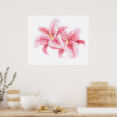 Recherche de lillies posters Pink