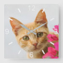 Recherche de kitten horloges Chat