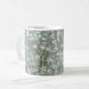 Recherche de plantes classiques tasses Nom