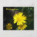 Recherche de pensée cartes postales Penser de vous