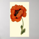Recherche de salutation art Fleur