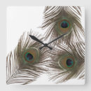 Recherche de plumes de paon horloges Nature