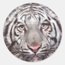 Recherche de animaux dangereux autocollants Sauvage