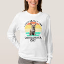 Recherche de chihuahua Humour