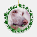 Recherche de caniche standard ornements Chien