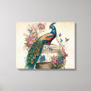 Recherche de vintage paon art Beau