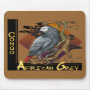 Recherche de le congo tapis souris Oiseau