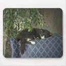 Recherche de chat smoking tapis souris Chaton