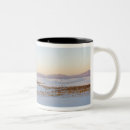 Recherche de friel tasses Bassin