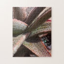 Recherche de succulent puzzles Plantes