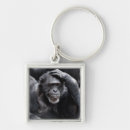 Recherche de chimpanzés porteclés Animal