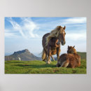 Recherche de cheval drôle posters Sauvage