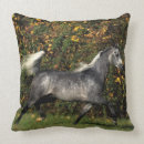 Recherche de arab coussins Cheval