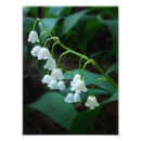Recherche de muguet art Lis