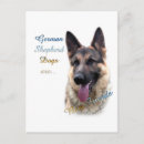 Recherche de chien de berger cartes postales Dog