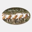 Recherche de gazelles autocollants Faune