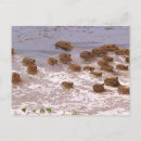 Recherche de habitat cartes postales Environnement