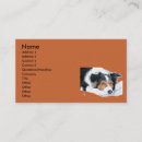 Recherche de chien border collie cartes visite Frontière