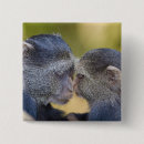 Recherche de singe bleu badges Faune