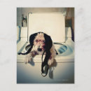 Recherche de lavage cartes postales Humour
