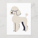 Recherche de caniche français cartes postales Animal de compagnie