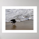 Recherche de coloration photographie Toute personne