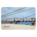 Recherche de cozumel magnete Tropical