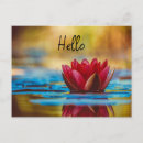 Recherche de fleur de lotus rouge cartes postales Floral