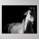 Recherche de horses posters Photography